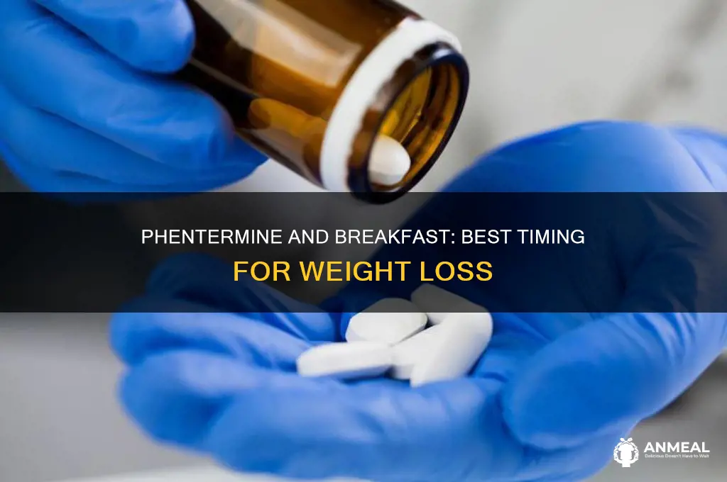 how long before breakfast should i take phentermine