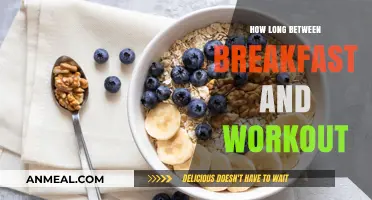 Best Timing for Breakfast and Workout Sessions