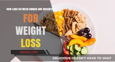 Best Breakfast Timing for Weight Loss