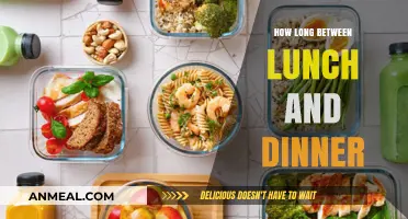Optimal Meal Timing: How Long Should You Wait Between Lunch and Dinner?