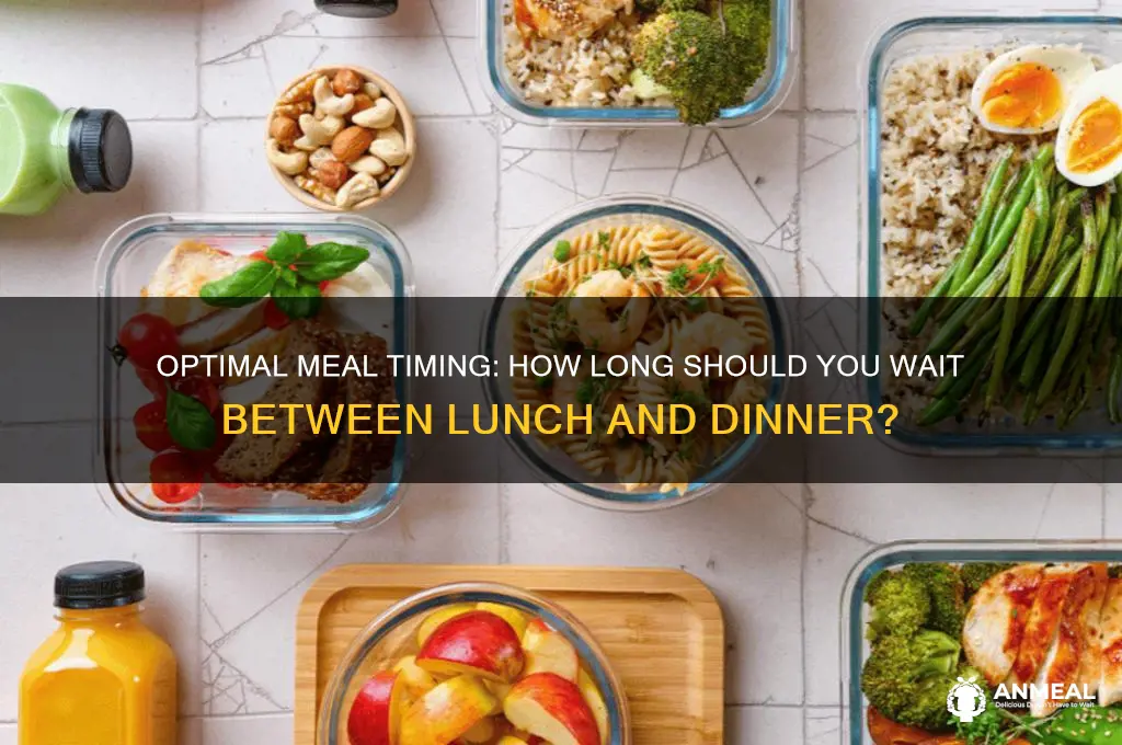 how long between lunch and dinner
