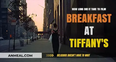 Filming Breakfast at Tiffany's: A Long Journey