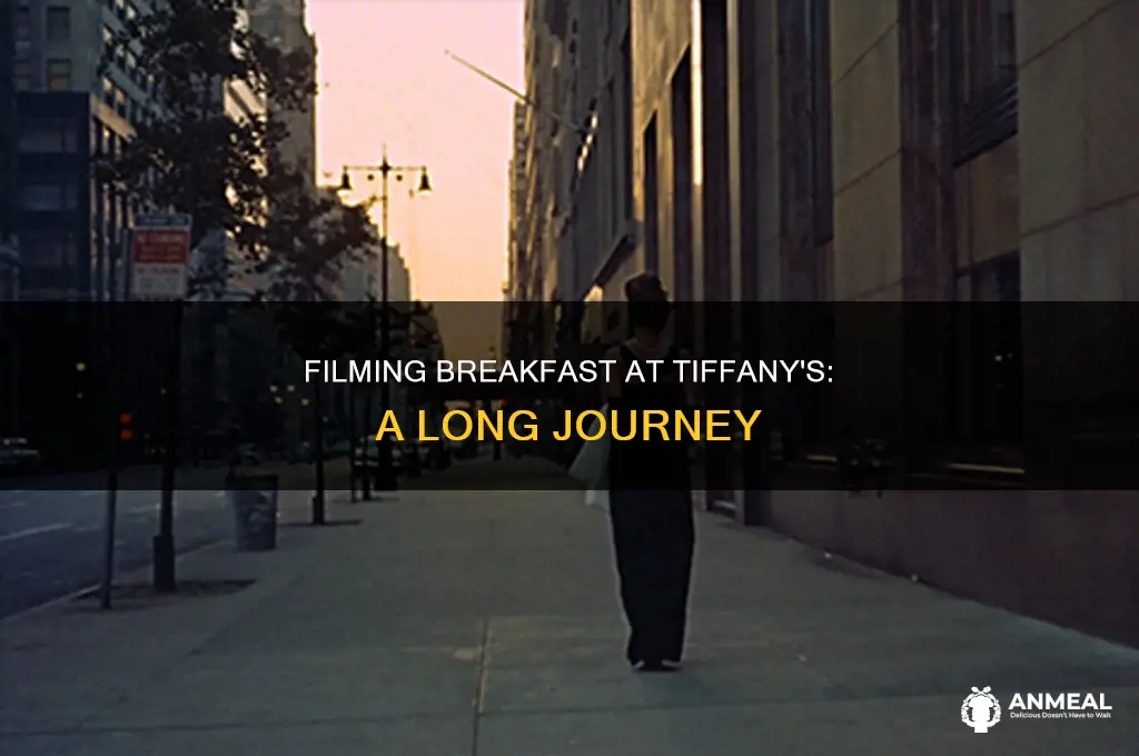 how long did it take to film breakfast at tiffany