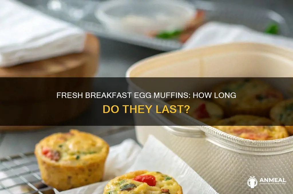 how long do breakfast egg muffins last