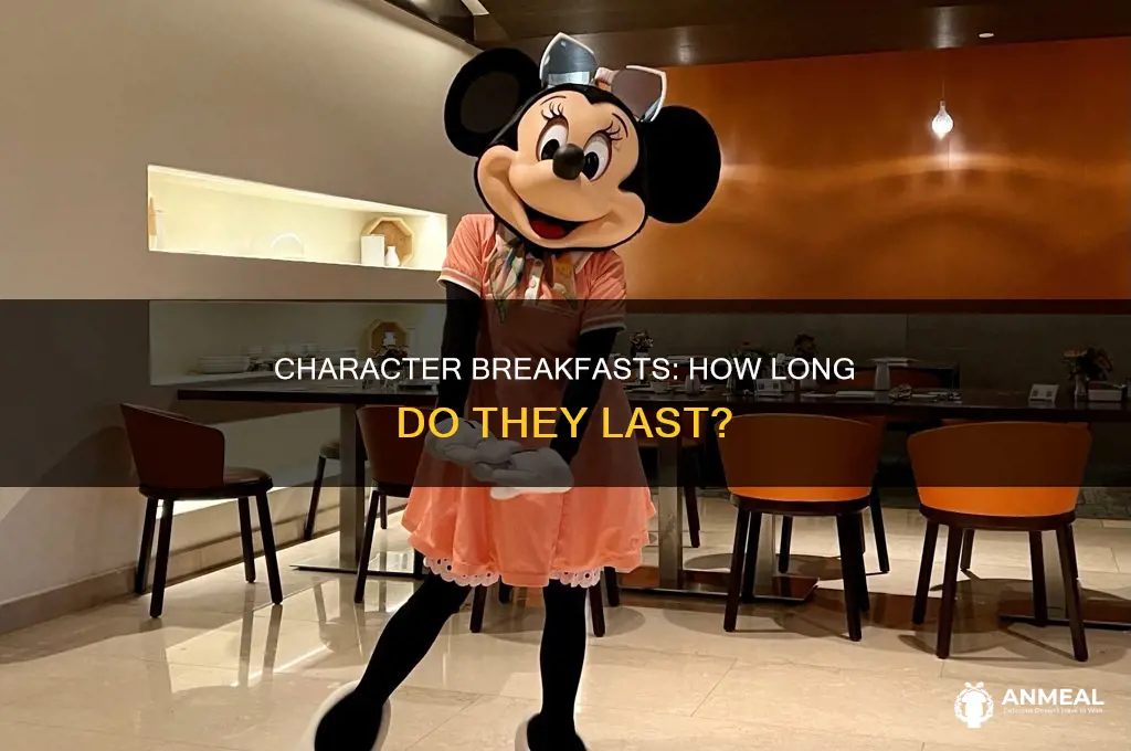 how long do character breakfasts take