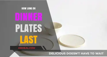 Durable Dinnerware: Understanding the Lifespan of Your Dinner Plates