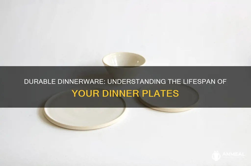 how long do dinner plates last