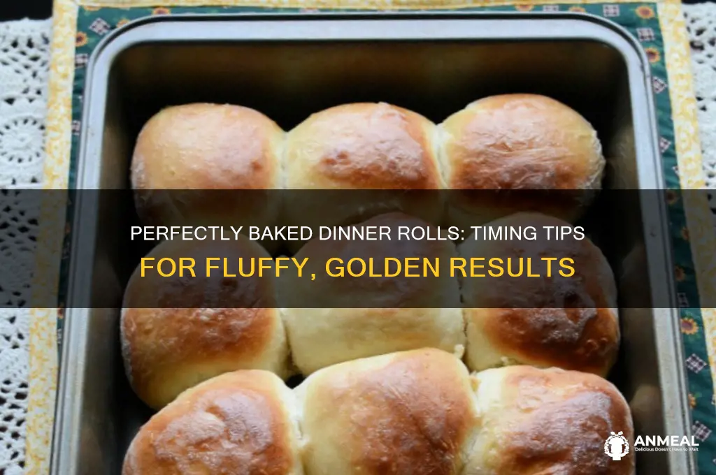 how long do you bake dinner rolls