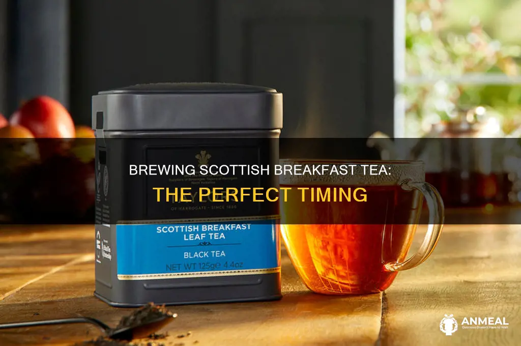 how long do you brew scottish breakfast tea