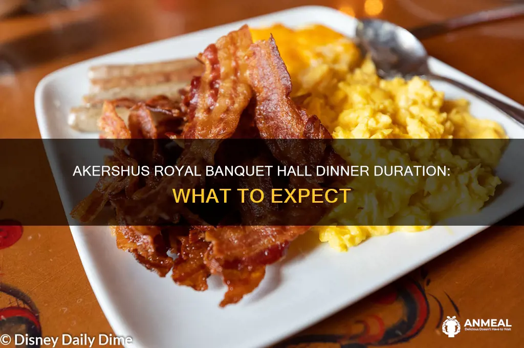 how long does akershus dinner take