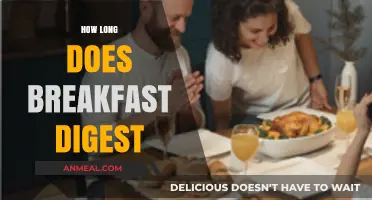 Breakfast Digestion Time: How Long Does Your Morning Meal Take?