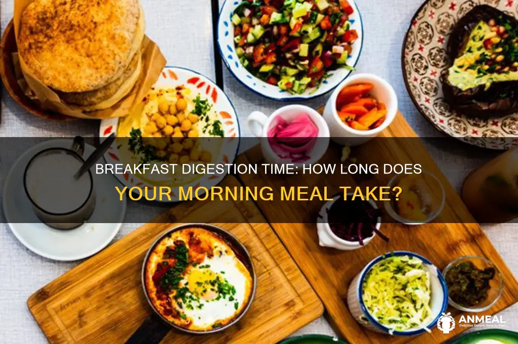 how long does breakfast digest
