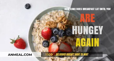 Morning Meals: How Long Until You're Hungry Again?