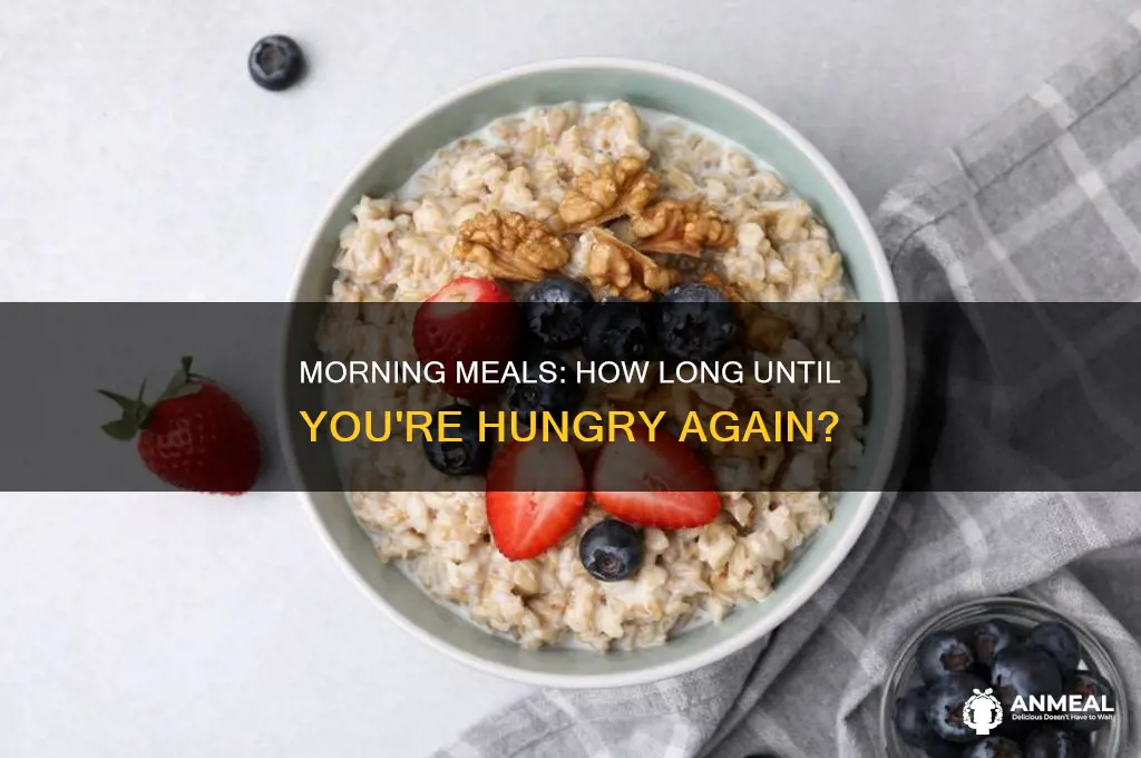 how long does breakfast lat until you are hungey again