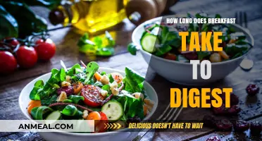 The Morning Metabolism: Breakfast Digestion Explained