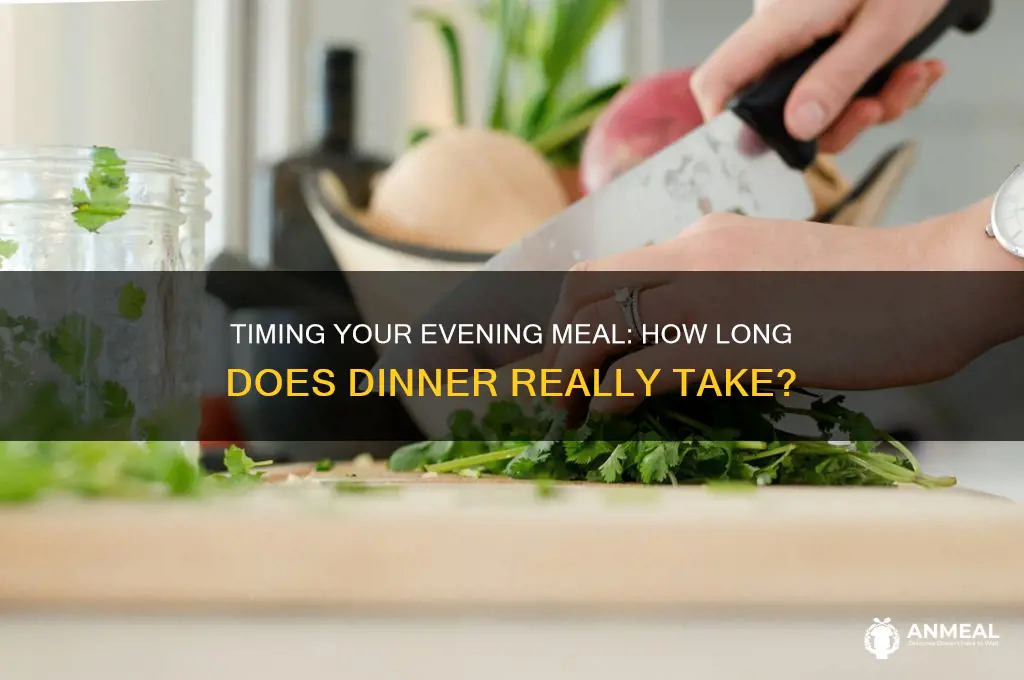 how long does dinner take