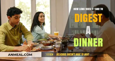 Understanding Dinner Digestion: How Long Does Your Body Take?