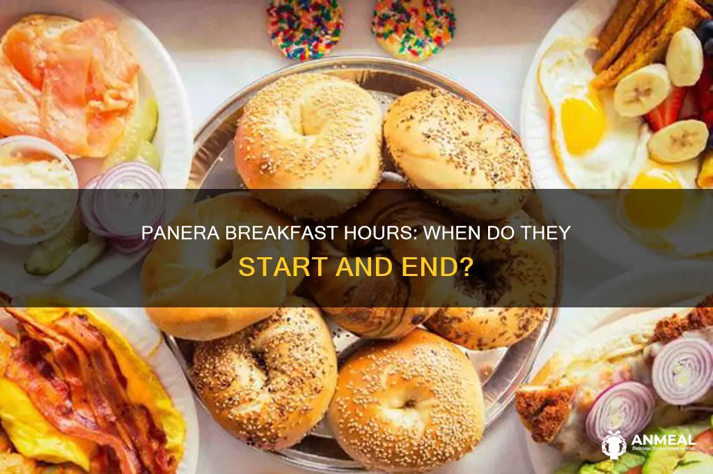 how long does panera do breakfast