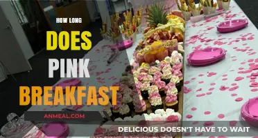 How Long Does Pink Breakfast Last? A Complete Guide