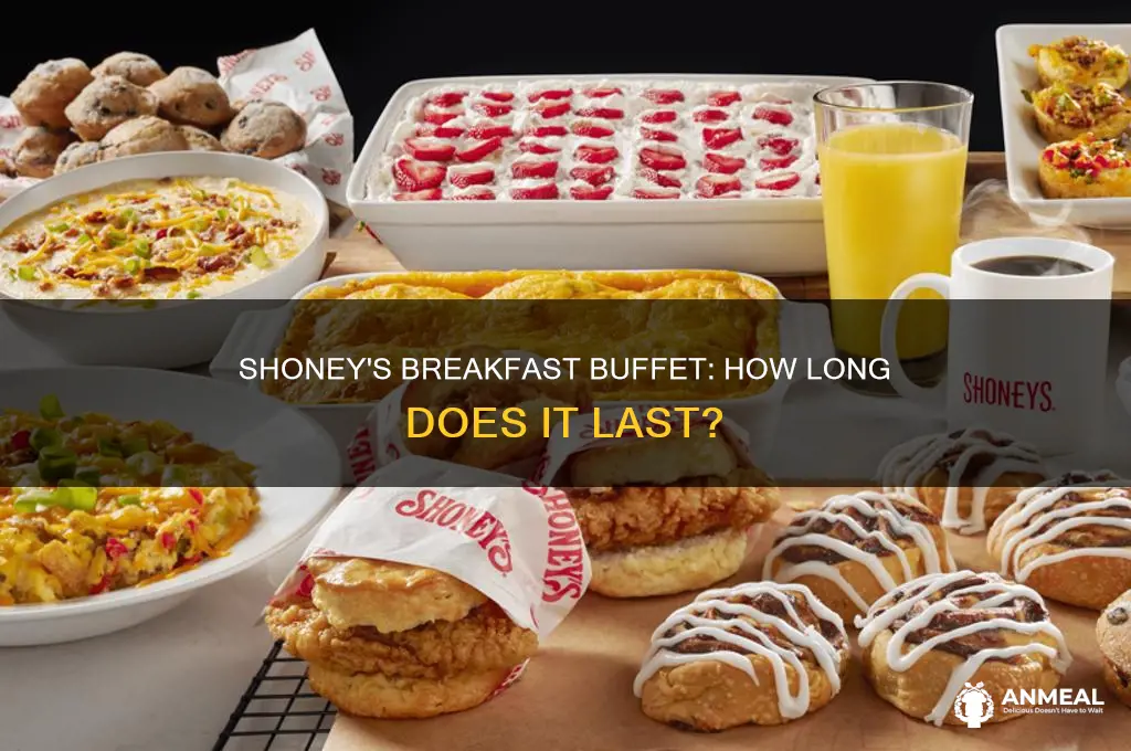 how long does shoney