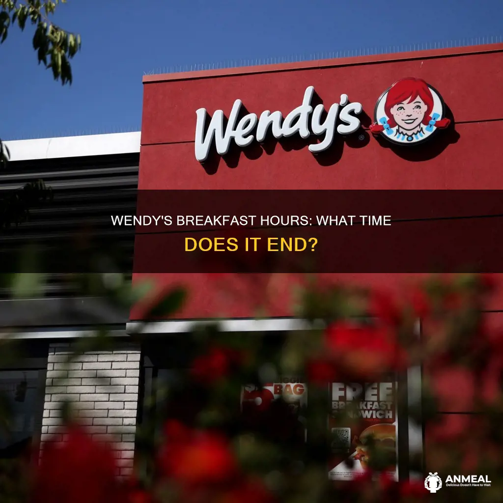 how long does wendy