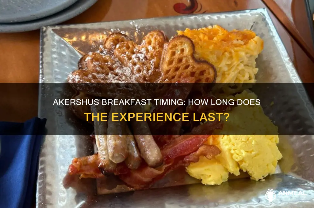 how long for akershus breakfast