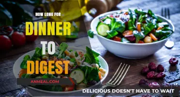 Understanding Dinner Digestion Time: Factors Affecting Post-Meal Processing
