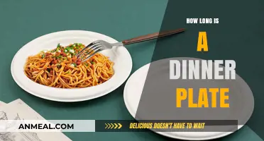 Standard Dinner Plate Sizes: Dimensions and Practical Tips for Choosing