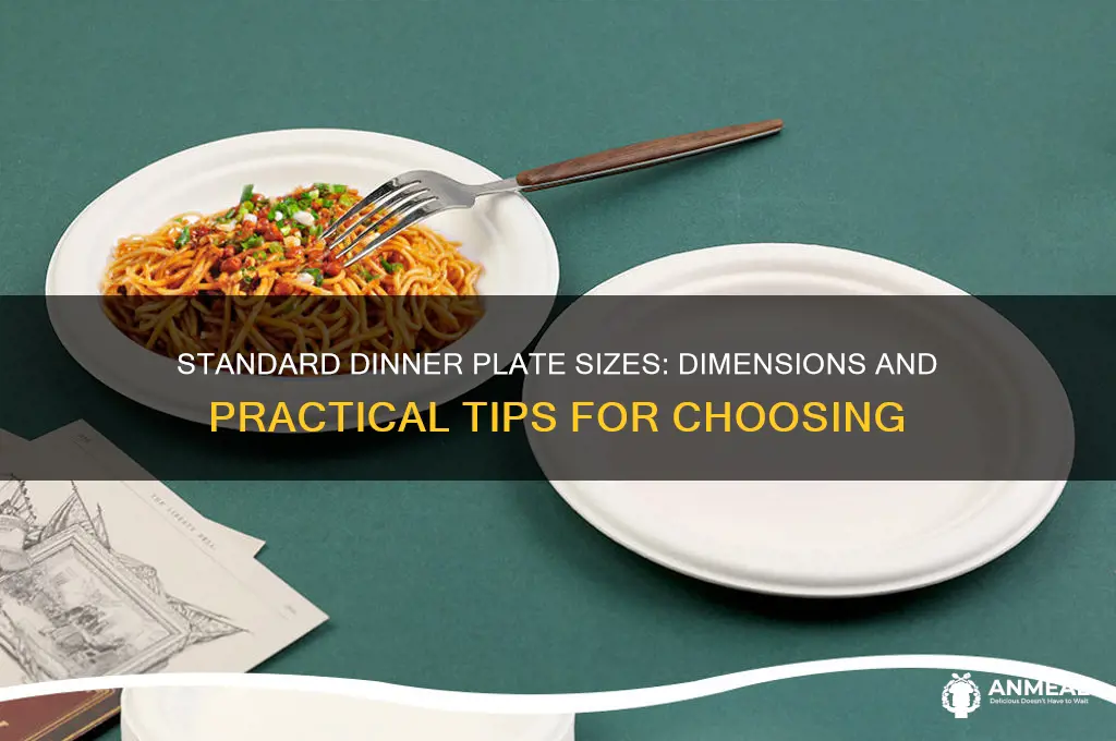 how long is a dinner plate