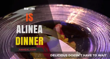 Alinea's Dinner Experience: Unveiling the Duration of Culinary Excellence