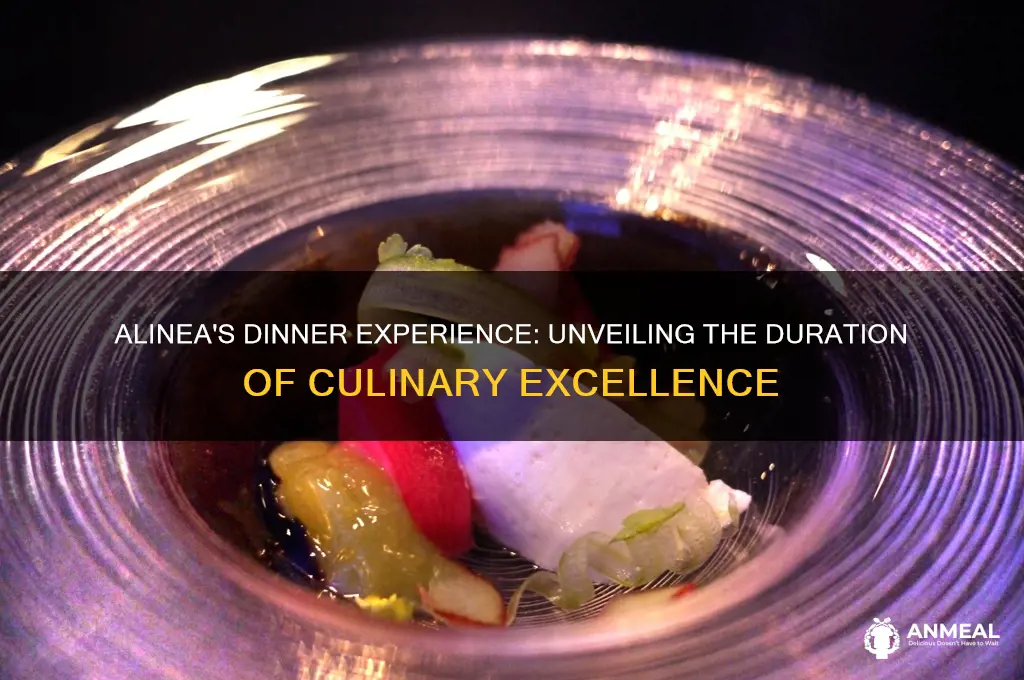 how long is alinea dinner