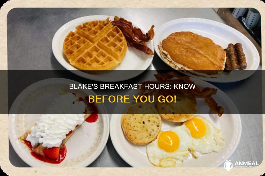 how long is blake
