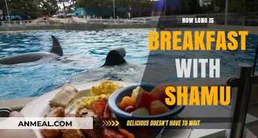 A Fun-Filled Breakfast with Shamu: How Long Does It Last?