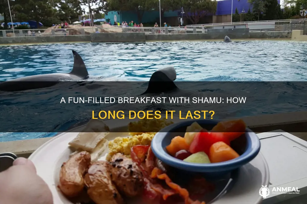 how long is breakfast with shamu