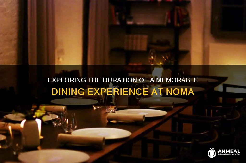 how long is dinner at noma