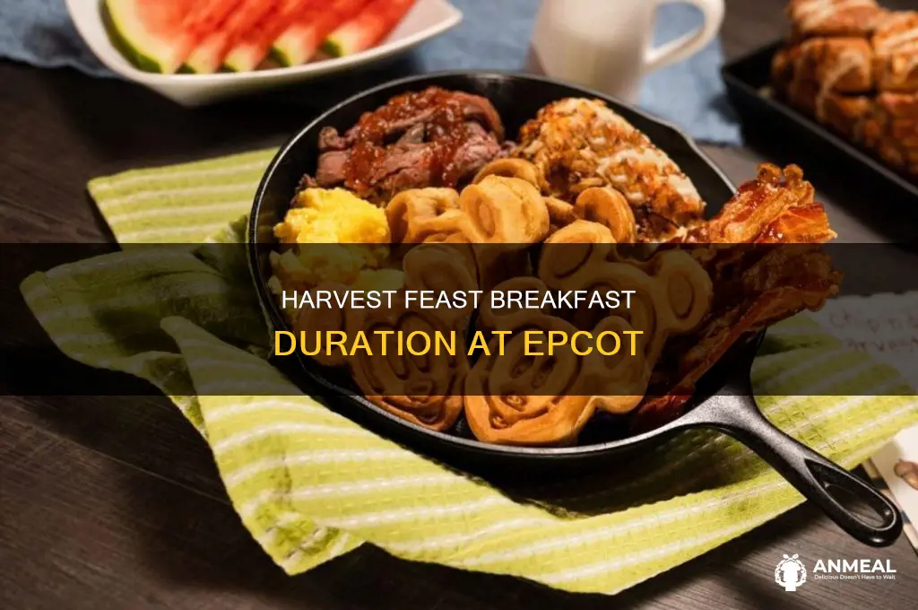 how long is harvest feast breakfast at epcot