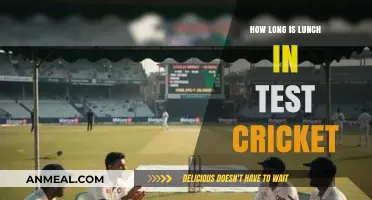 Understanding Lunch Breaks in Test Cricket: Duration and Traditions