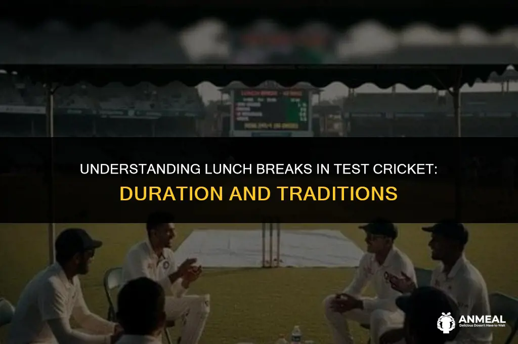 how long is lunch in test cricket