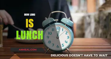 Exploring the Perfect Lunch Duration: A Comprehensive Guide