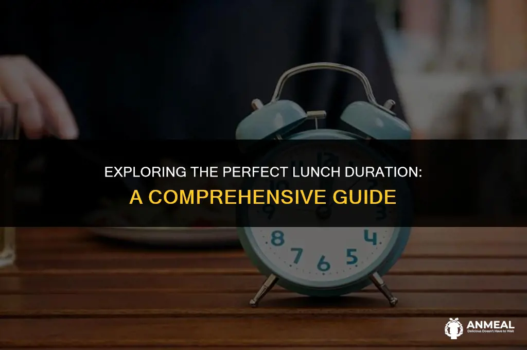 how long is lunch