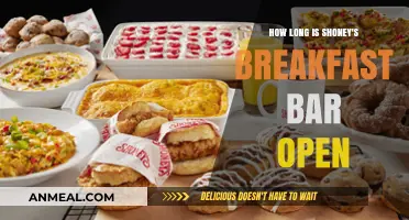 Shoney's Breakfast Bar: Timing is Everything