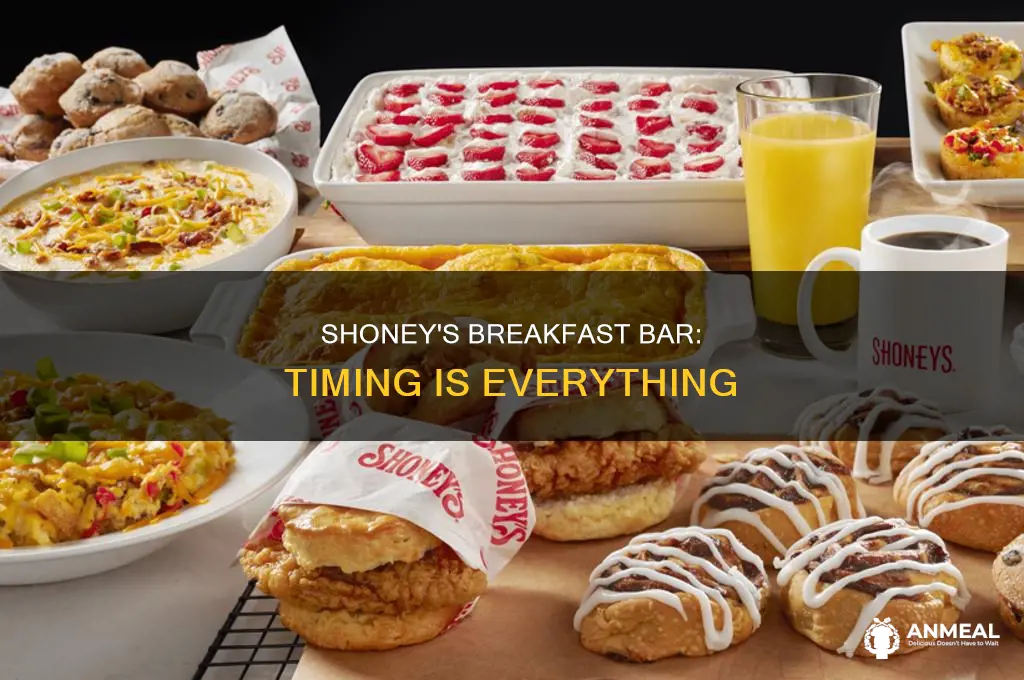 how long is shoney