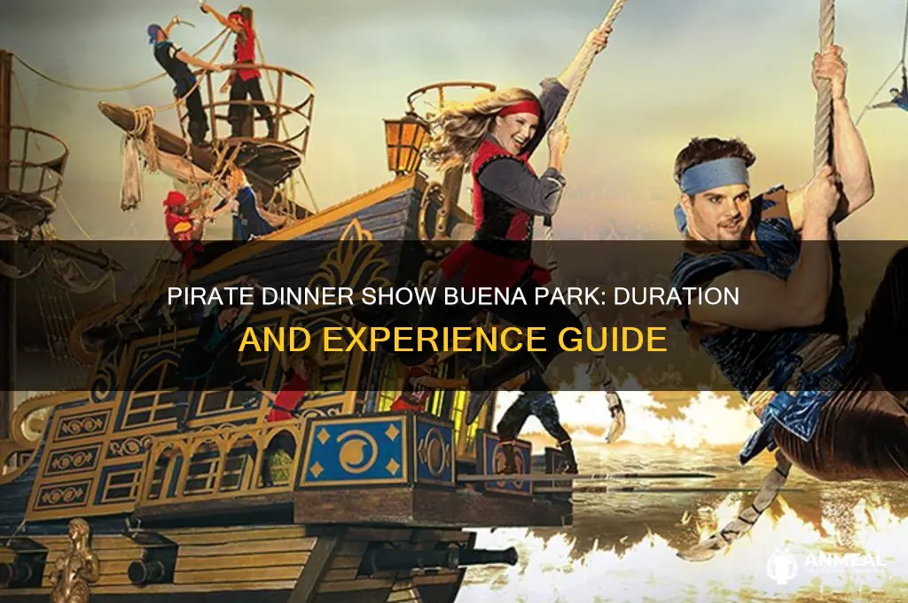 how long is the pirate dinner show in buena park