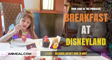 A Magical Morning: Princess Breakfast at Disneyland