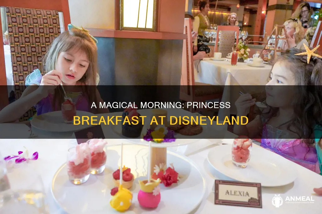 how long is the princess breakfast at disneyland