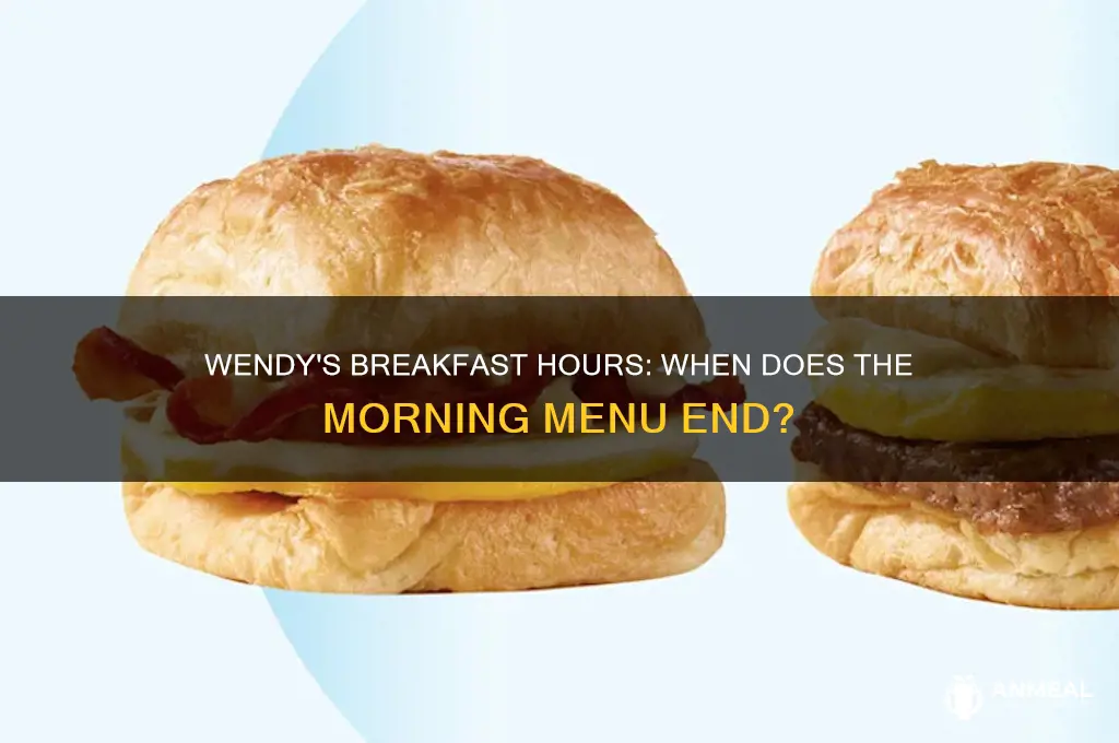 how long is wendy breakfast