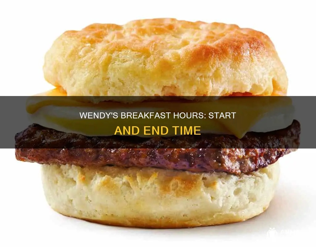how long is wendy