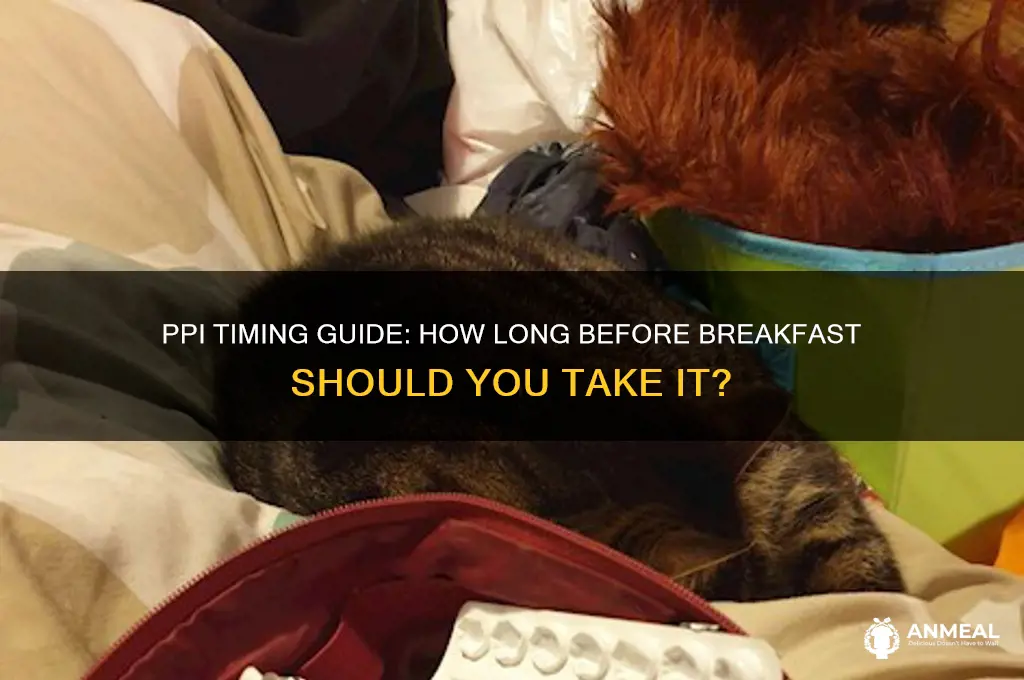 how long ppi before breakfast
