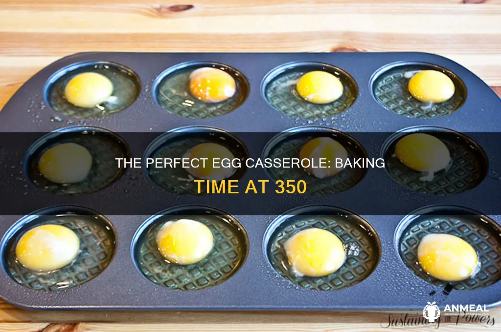 how long should and egg breakfast casserole cook at 350