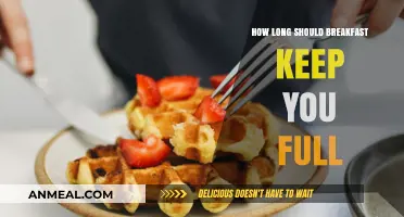 Keep Fullness Going: Breakfast Strategies to Stay Satisfied Longer